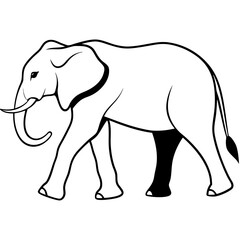 elephant vector illustration