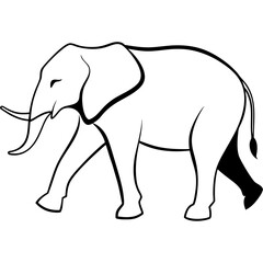 elephant vector illustration