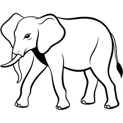 elephant vector illustration