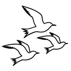 set of birds