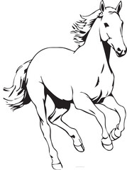 horse vector illustration