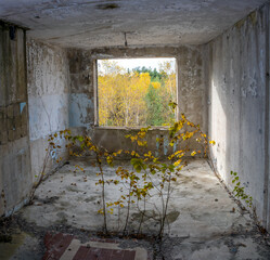 Abandoned damaged room with a view of the autumn landscape through a window hole
