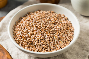 Organic Raw Dry Farro Grain