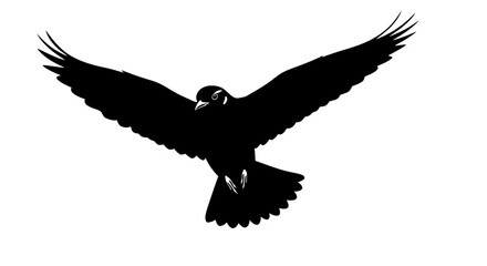Obraz premium Flying Eagle Silhouette Vector | Black and White Bird Icon Art 