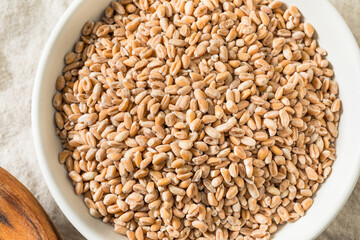 Organic Raw Dry Farro Grain