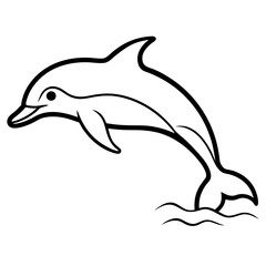 dolphin vector illustration