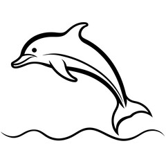 dolphin