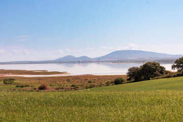 Fototapeta premium view of the Laguna of fuente piedra, malaga spain