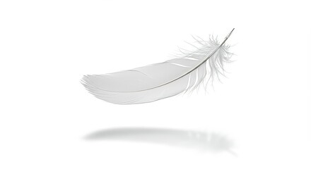 Obraz premium A soft white feather floating in the air against a completely white background