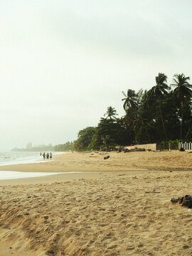Plage tropicale de sable fin au bord de l&rsquo;oc&eacute;an au Gabon