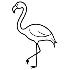 flamingo silhouette isolated on white