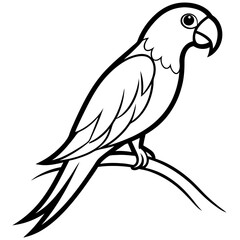 vector illustration of a bird