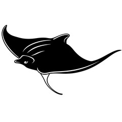 shark vector illustration