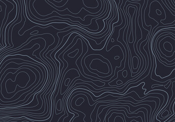 Topographic map background with altitude lines. Abstract terrain topography with elevation levels of the relief