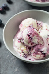 Sweet Refreshing Cold Blueberry Ice Cream