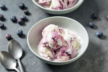Sweet Refreshing Cold Blueberry Ice Cream