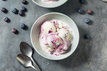 Sweet Refreshing Cold Blueberry Ice Cream