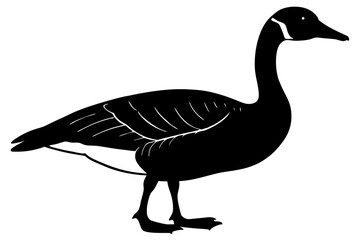 goose isolated on white