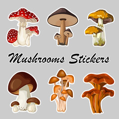 Collection of mushroom stickers.Colored vector collection with different mushrooms in stickers on gray background with text.