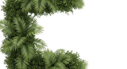 Realistic palm leaves shrubs corner on transparent backgrounds 3d rendering png


