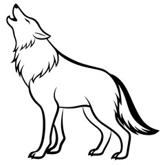 wolf vector illustration