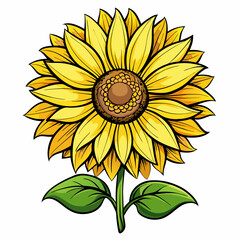 Fototapeta premium Sunflower with Detailed Petals – Vibrant Floral Illustration with Realistic Design