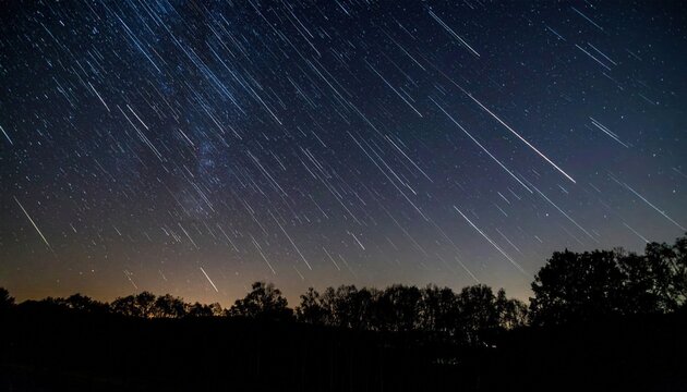 Meteor Shower Over Trees at Night