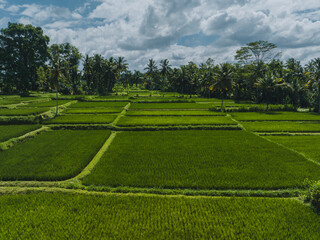 Rice Paddies from the Sky &ndash; Aerial Landscape in Bali