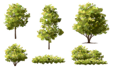 Vertor set of green tree,plants side view for landscape elevations,element for backdrop,eco environment concept design,watercolor greenery scene