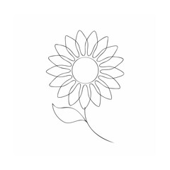 vector illustration of a sunflower 