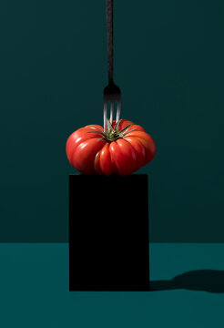 Tomato pierced by a fork on a dark background