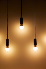 Lightbulbs hanging on wires, soft decoration lighting