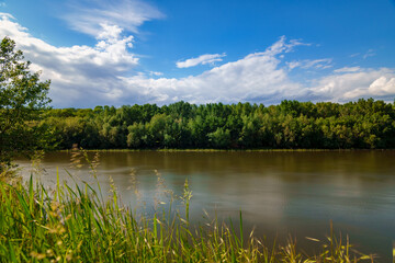 river and forest, beautiful summer landscape, river bank and water stream