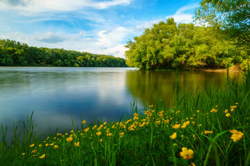 river and forest, beautiful summer landscape, river bank and water stream