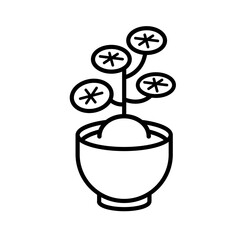 potted plants (Stephania erecta)