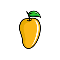 Mango fruit design on white background 