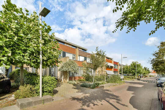 Urban Streetscape with Lush Greenery