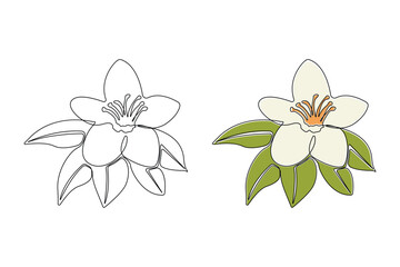 Hand-drawn vanilla pod flower continuous outline vector. Vanilla flower plant line art drawing