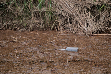 bottiglia di vetro abbandonata, che galleggia sulla superficie di un canale acquatico in campagna. concetti sull'inquinamento ambientale