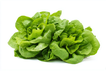 Fototapeta premium Fresh green lettuce leaves with crisp texture and vibrant color, perfect for healthy salads and natural meals, showcasing freshness and organic quality.