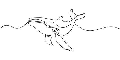 Continuous single drawn one line drawing of whale. Vector illustration, Continuous one line drawing of dolphin. Simple illustration of dolphin pair line art vector illustration, Continuous one line
