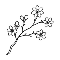 Cherry blossom branch line art
