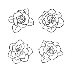 Camellia flower head line art.