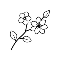 Cherry blossom branch line art