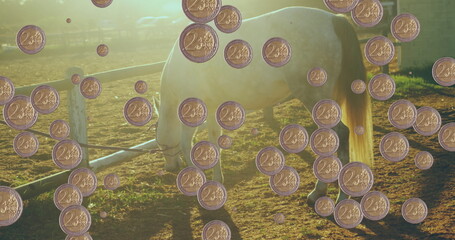 Grazing white horse munching on grass in paddock fenced with rails, with floating two-cent coins © vectorfusionart