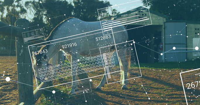 Fototapeta Standing light gray horse showing digital HUD panels in dirt paddock beside wooden fence