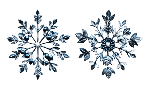 Floral snowflake designs with leaves and berries intricate patterns isolated on transparent background.