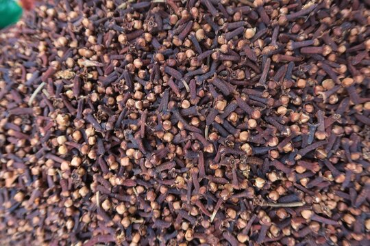 Cloves are the aromatic flower buds Clove in the spices market