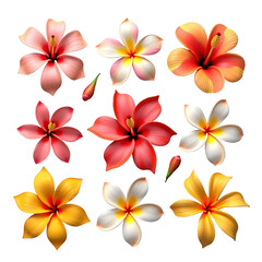 Beautiful collection of colorful hibiscus and plumeria flowers isolated on on transparent background.