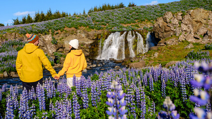 Couple enjoying a serene moment by a waterfall surrounded by blooming lupines in Iceland